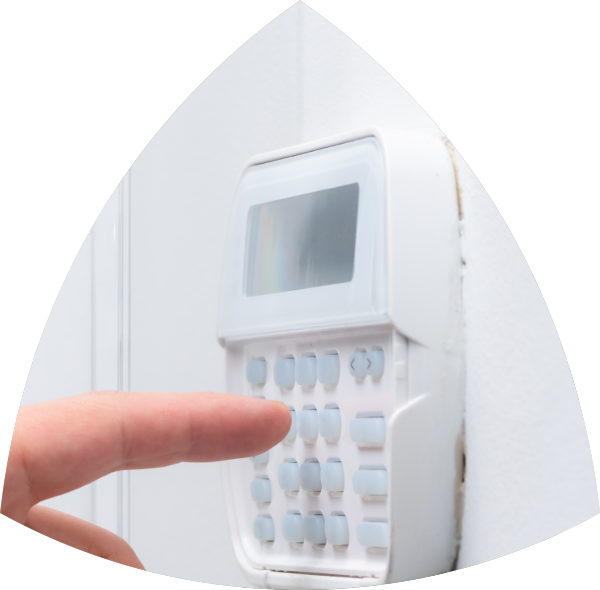 Services systems security